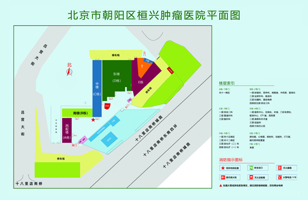 大吊操大逼网站北京市朝阳区桓兴肿瘤医院平面图